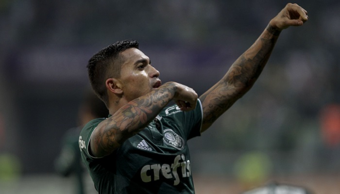 dudu-palmeiras-21-lug